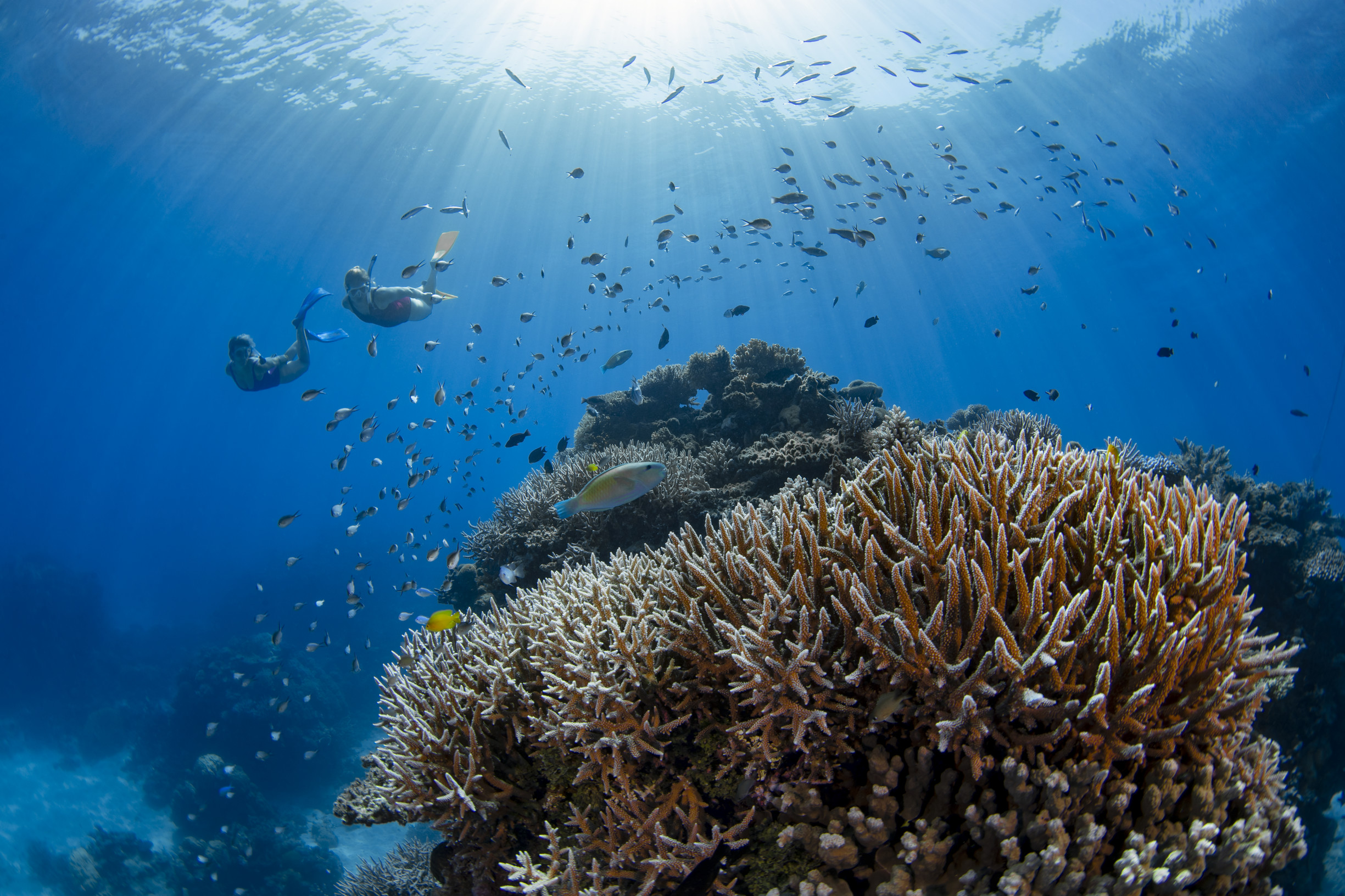 17 Useless Facts To Add Curiosity to a Queensland Road Trip | Tourism ...